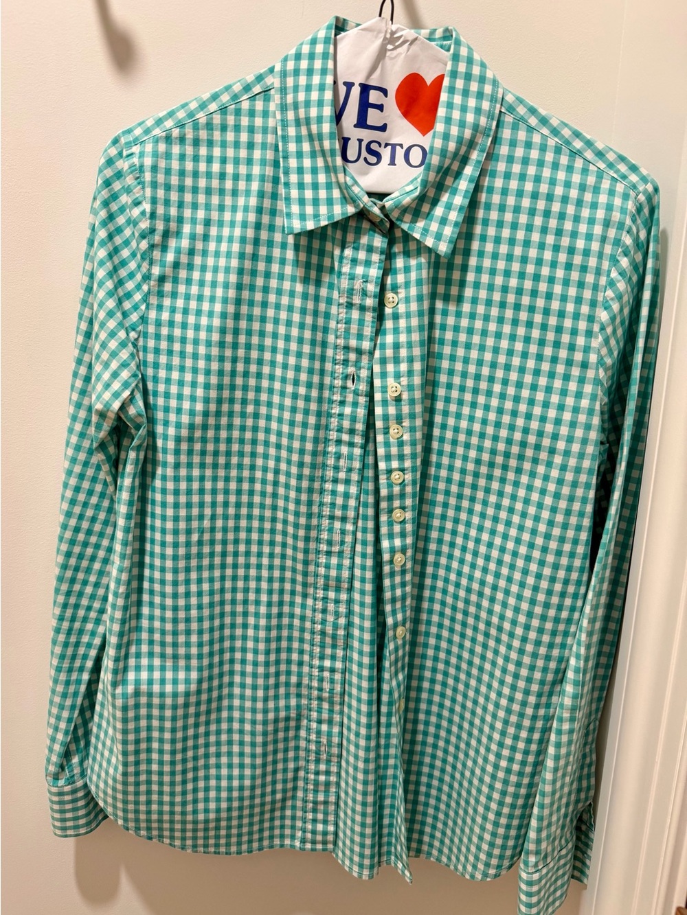 The Shirt by Rochelle Behrens Teal and White Gingham Button-Down Shirt